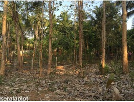 EXCELLENT 60 CENTS PRIME PLOT FOR SALE AT PALLAPURAM, OTTAPALAM