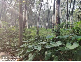 10 cent land for sale 25 lakh per cent, negotiable