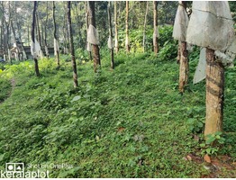 10 cent land for sale 25 lakh per cent, negotiable