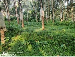 10 cent land for sale 25 lakh per cent, negotiable