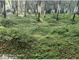 10 cent land for sale 25 lakh per cent, negotiable