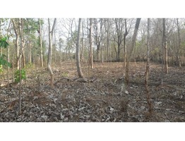 Land for sale (Housing Plot)