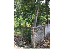 14.5 cent residential land for sale at  ernakulam, Irumpanam