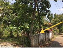 14.5 cent residential land for sale at  ernakulam, Irumpanam