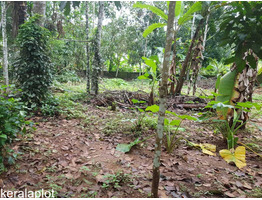 20 cent Land sale at   Elanthoor, Pathanamthitta dis.