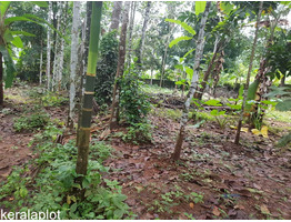 20 cent Land sale at   Elanthoor, Pathanamthitta dis.