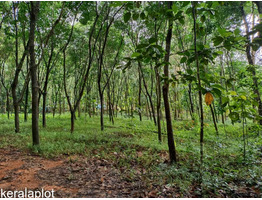 3.5 Acre land sale at Vengoor Panchayath, AruvapparaErnakulam Dis.