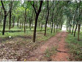 3.5 Acre land sale at Vengoor Panchayath, AruvapparaErnakulam Dis.