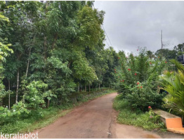 3.5 Acre land sale at Vengoor Panchayath, AruvapparaErnakulam Dis.