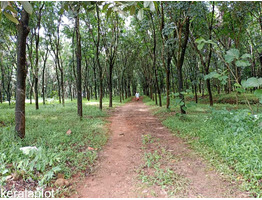 3.5 Acre land sale at Vengoor Panchayath, AruvapparaErnakulam Dis.