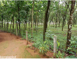 3.5 Acre land sale at Vengoor Panchayath, AruvapparaErnakulam Dis.