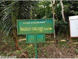 3.5 Acre land sale at Vengoor Panchayath, AruvapparaErnakulam Dis.