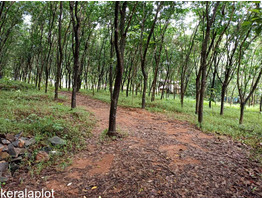 3.5 Acre land sale at Vengoor Panchayath, AruvapparaErnakulam Dis.