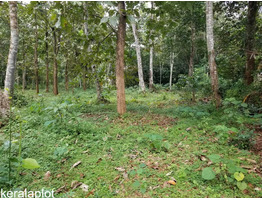 40 cent land sale at chirayirambu