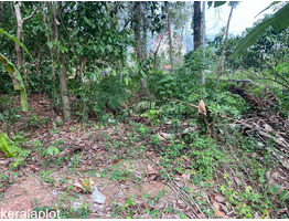 Residential Land for Sale in Kollad, Kottayam, Kottayam