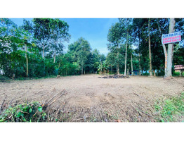 18 Cent Main Road Frontage Plot for Sale - Elanthoor (Pathanamthitta)