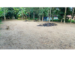 18 Cent Main Road Frontage Plot for Sale - Elanthoor (Pathanamthitta)