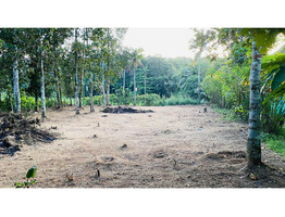 18 Cent Main Road Frontage Plot for Sale - Elanthoor (Pathanamthitta)