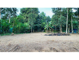 18 Cent Main Road Frontage Plot for Sale - Elanthoor (Pathanamthitta)