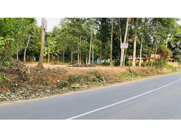 18 Cent Main Road Frontage Plot for Sale - Elanthoor (Pathanamthitta)