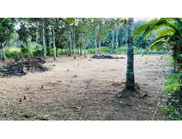 18 Cent Main Road Frontage Plot for Sale - Elanthoor (Pathanamthitta)