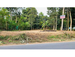 18 Cent Main Road Frontage Plot for Sale - Elanthoor (Pathanamthitta)