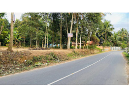 18 Cent Main Road Frontage Plot for Sale - Elanthoor (Pathanamthitta)