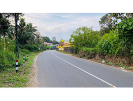 18 Cent Main Road Frontage Plot for Sale - Elanthoor (Pathanamthitta)