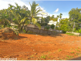 25 cent land sale at  Ernakulam near Kangarappady