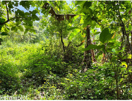 land for sale in kumpazha