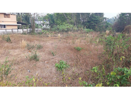 Residential Land for Sale in Kanimangalam, Thrissur