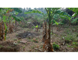 Residential Land for Sale in Kanimangalam, Thrissur