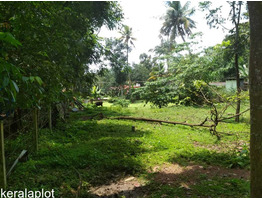 25 Cents of land near Madam Mukku, Kuttapuzha, Tiruvalla