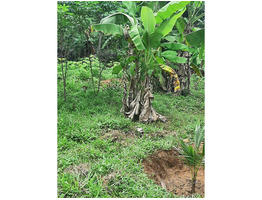 68 Cents of Prime Land for sale at THIDANAND-KOTTAYAM