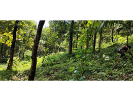 3.5 Acres of land  sale at  Velliamattom PO , Thodupuzha  ,Idukki dt.