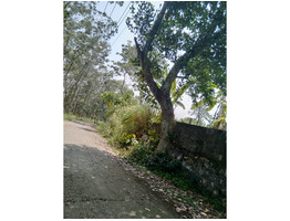 Adoor-puthusseribhagam land for sale