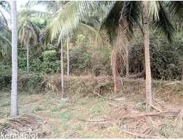 Chelannur 7/6: 1.9 acres plot for sale.