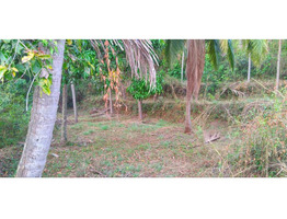 Chelannur 7/6: 1.9 acres plot for sale.