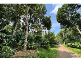 2 acre land for sale near Punchavayal @ 15 lakh/acre...