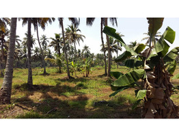 Alappuzha -changanassery road 1.1/4 land for sale (Ramankari waterfront)