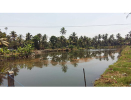 Alappuzha -changanassery road 1.1/4 land for sale (Ramankari waterfront)