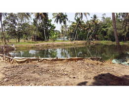 Alappuzha -changanassery road 1.1/4 land for sale (Ramankari waterfront)