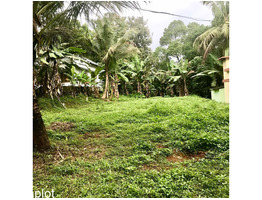 28 cent land for sale near mukkoor,junction pathanamthitta