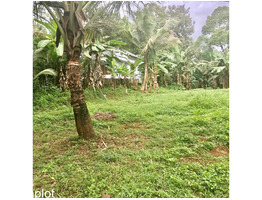 28 cent land for sale near mukkoor,junction pathanamthitta