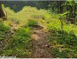 Residential Plot for Sale at Koothattukulam