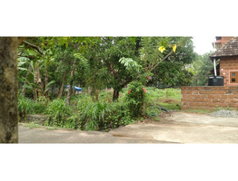 20  cent land  sale at  Thrissur district (irinjalakkuda via) Nadavaramba p.o. , Dr.pady