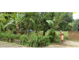 20  cent land  sale at  Thrissur district (irinjalakkuda via) Nadavaramba p.o. , Dr.pady