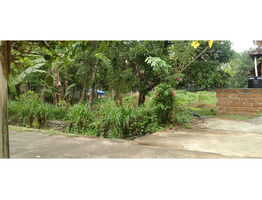 20  cent land  sale at  Thrissur district (irinjalakkuda via) Nadavaramba p.o. , Dr.pady