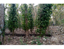 Well demanding 1.69 acre farm land in pulpally @ 59 lakh.