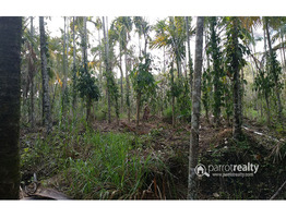 Well demanding 1.69 acre farm land in pulpally @ 59 lakh.